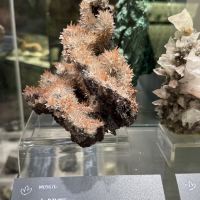 評論圖片 3