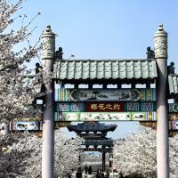 評論圖片 4