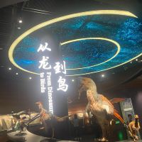 評論圖片 1