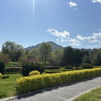 評論圖片 8