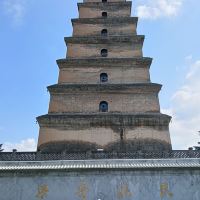 評論圖片 7