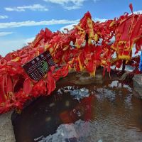 評論圖片 5