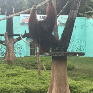 評論圖片 1