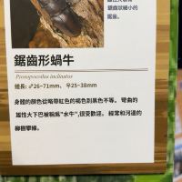 評論圖片 5