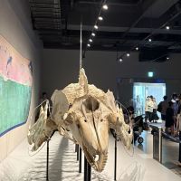評論圖片 8
