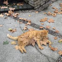 評論圖片 8