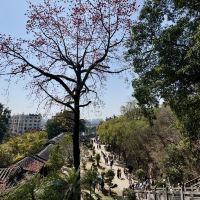 評論圖片 1