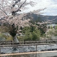 評論圖片 2