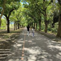 評論圖片 4