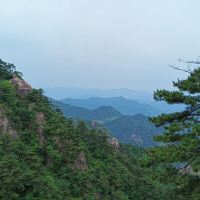 評論圖片 1