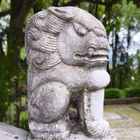 評論圖片 4