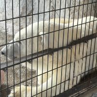評論圖片 3