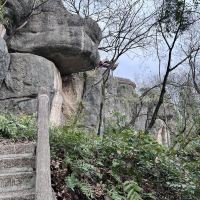 評論圖片 1