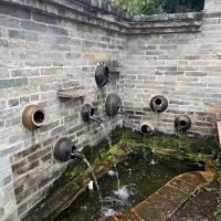 評論圖片 5