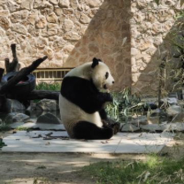 評論圖片 1