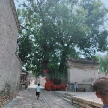 評論圖片 2