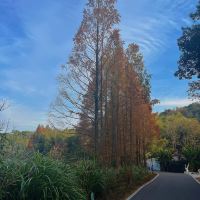 評論圖片 3