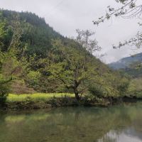 評論圖片 4