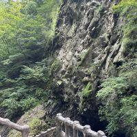 評論圖片 7