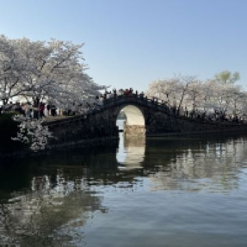 評論圖片 6