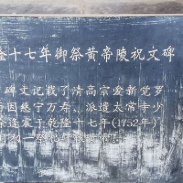 評論圖片 3