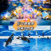 評論圖片 2