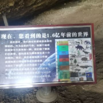 評論圖片 9