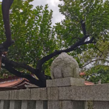 評論圖片 6