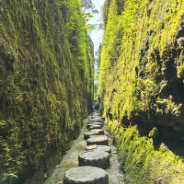 評論圖片 6