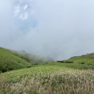 評論圖片 7