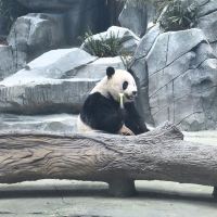 評論圖片 1