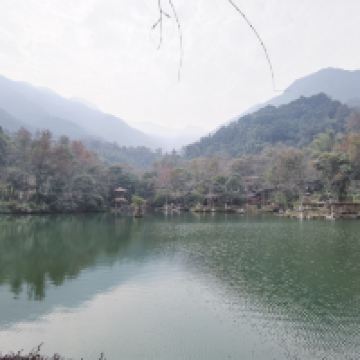 評論圖片 2