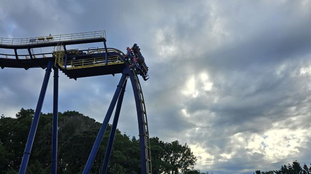 review picture