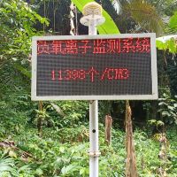 評論圖片 6