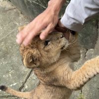 評論圖片 9