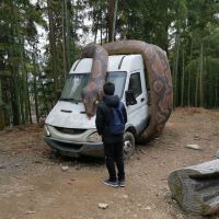 評論圖片 5