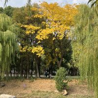 評論圖片 7