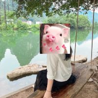評論圖片 1
