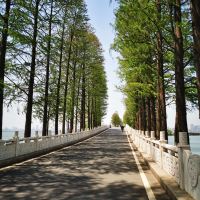 評論圖片 7