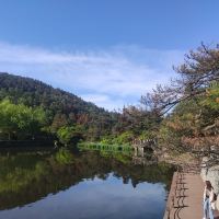 評論圖片 5