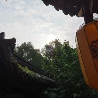 評論圖片 2