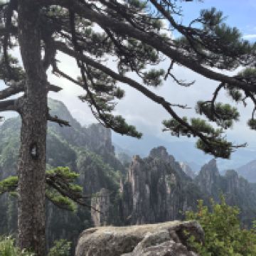 評論圖片 9