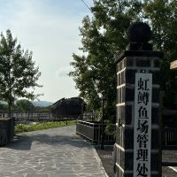 評論圖片 3