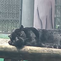 評論圖片 2