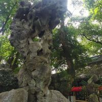 評論圖片 2
