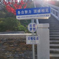 評論圖片 4