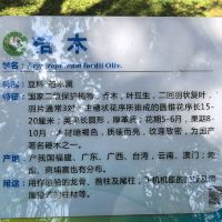 評論圖片 6