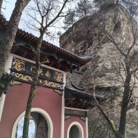 評論圖片 7