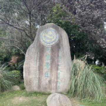 評論圖片 1
