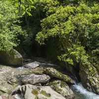 評論圖片 3